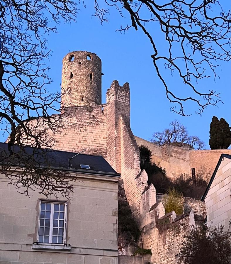 Le Rabelais, Superbe Appartement En Duplex, Proche Forteresse Et Monument Historique Chinon Exterior photo